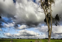 28圈:崔永熙:感谢家人、郭指导、广州队和球迷支持.